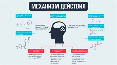 Роль ноотропных препаратов в улучшении когнитивных функций