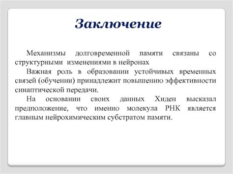 Роль памяти в образовании