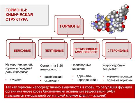 Роль питания и гормональных изменений