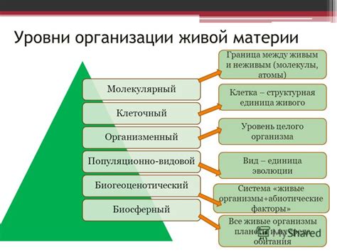 Роль природы в биологических процессах