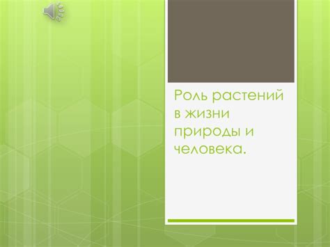 Роль природы в расслаблении и балансировании