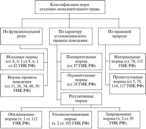 Роль процессуальных норм в правоприменительной деятельности