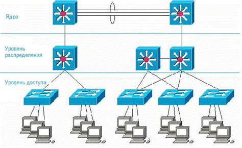 Роль свитча в структуре локальной сети