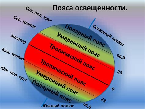 Роль солнечного света и тепла