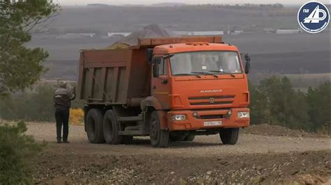 Роль сохранности костей в автомобильной безопасности