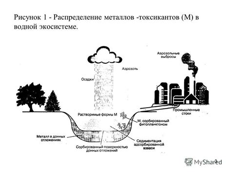 Роль тяжелых металлов в экосистеме