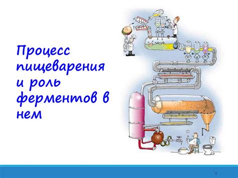 Роль ферментов в процессе увядания цветка