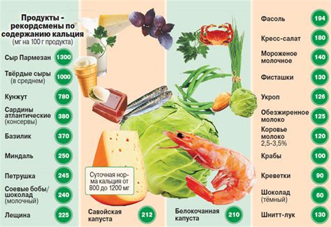 Роль хлорида кальция в сохранении свежести продуктов