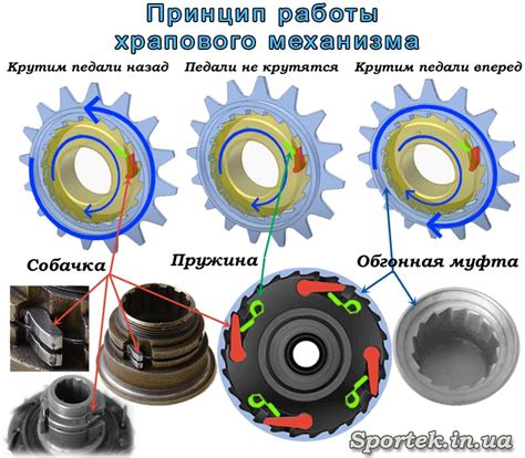 Роль храпового механизма в производстве