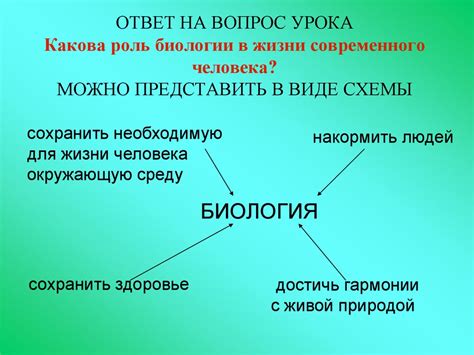 Роль шрама в жизни человека