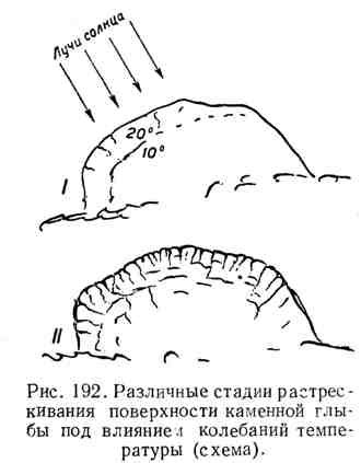 Роль экзогенных процессов в формировании земной поверхности