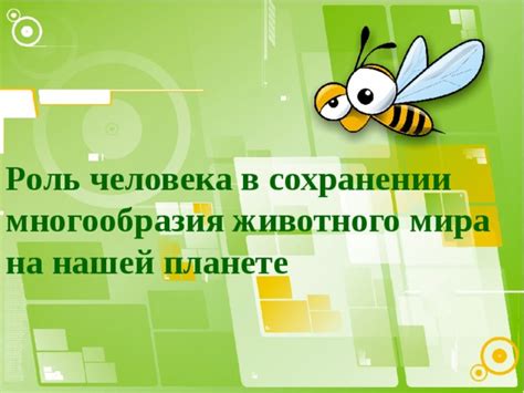 Роль экологического образования в сохранении разнообразия животного мира