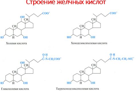 Роль энзимов в переваривании молока