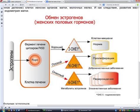 Роль эстрогенов в возникновении гиперплазии