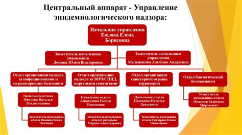 Роспотребнадзор: защита прав потребителей и контроль