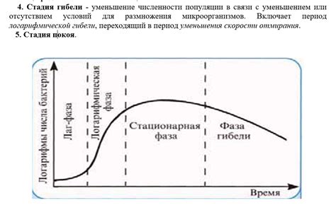 Рост грибов и бактерий