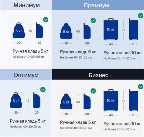 Ручная кладь от 1 до 10 кг: основные правила