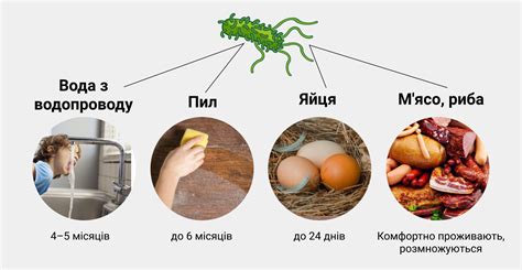 Сальмонеллез: патоген и распространение