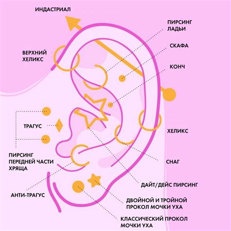 Самостоятельное удаление проколов в ушах: действия и рекомендации