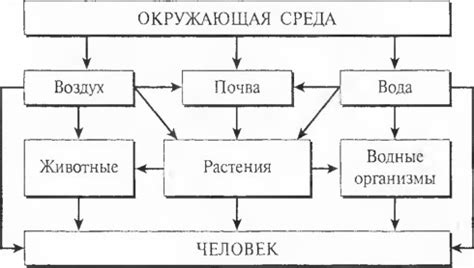 Сближает зависимость от других организмов