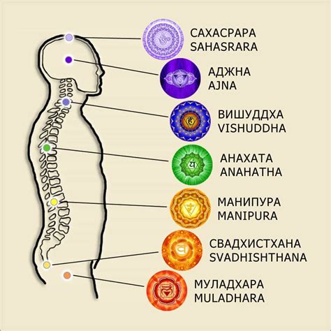 Свадхистхана чакра: основные принципы и значение