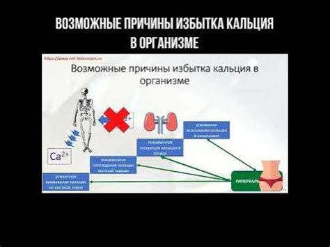 Связь избытка кальция с заболеваниями костей