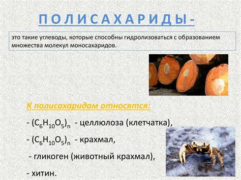 Связь между полимерами и мономерами