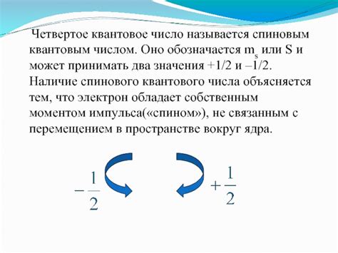 Связь между спиновым квантовым числом и магнитным моментом частицы