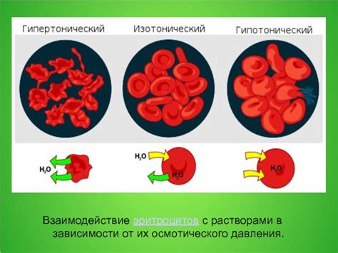 Связь осмотического давления с кровью