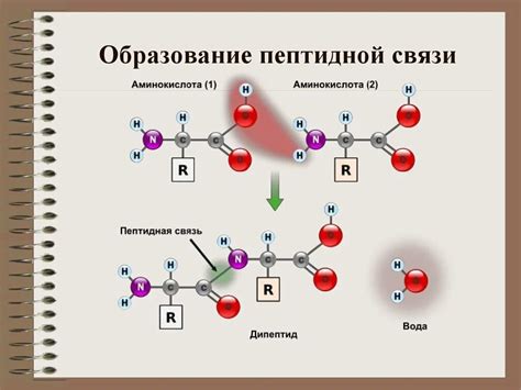 Связь пептида с заболеваниями