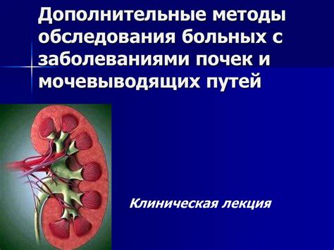 Связь повышенного уровня мочевины с заболеваниями почек