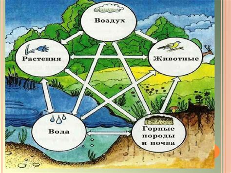 Связь червяков с природой