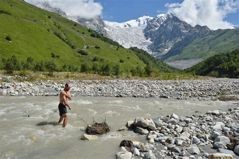 Сезон сбора вешенок: лучшее время для похода