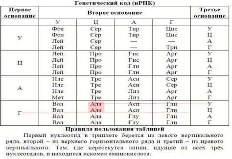 Секреты расшифровки таблицы