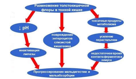 Сибр в медицине: расшифровка и основные факты