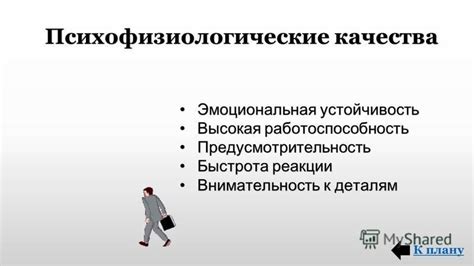 Сильные охранные качества и высокая внимательность