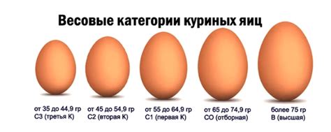 Символика куриных яиц