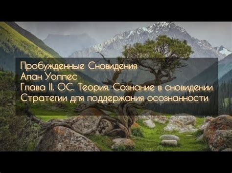 Символика ос в сновидении