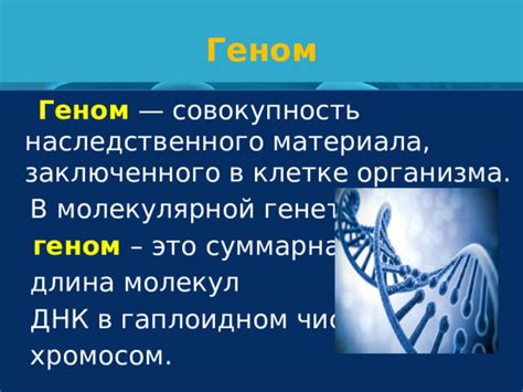 Символическое обозначение гамет и их роль в молекулярной генетике