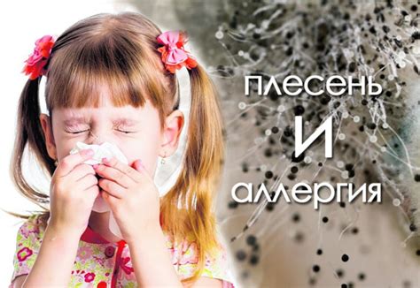 Симптомы аллергии на плесень у детей дошкольного возраста