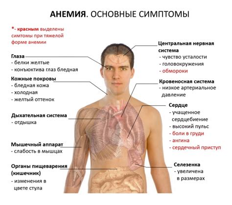 Симптомы и клиническая картина гиперэхогенных структур