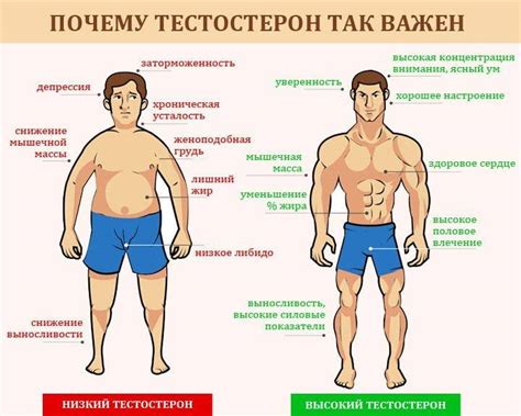 Симптомы и признаки недостатка гормонов у мужчин