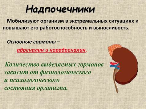 Симптомы и функции геня