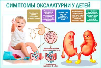 Симптомы наличия оксалатов в кале у ребенка и возможные осложнения