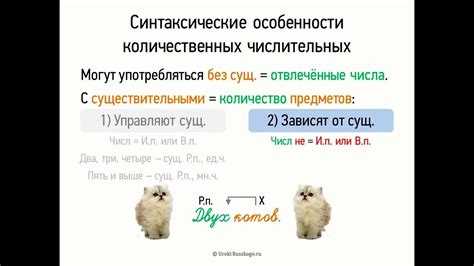 Синтаксические особенности притяжательных глаголов