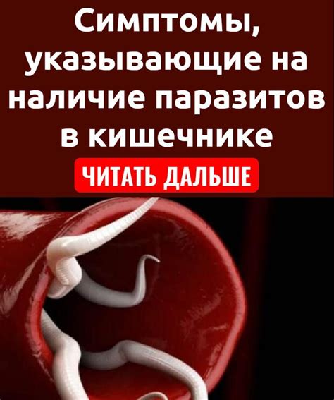 Системные сбои: симптомы, указывающие на организм, пораженный паразитами