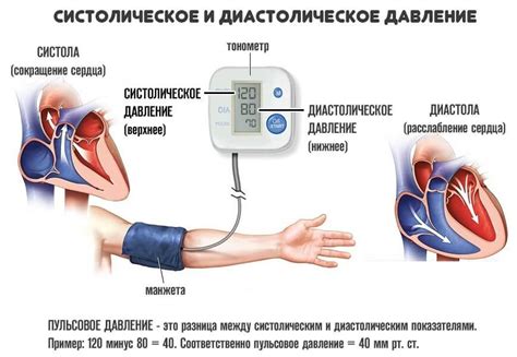 Систолическое и диастолическое давление: основные понятия