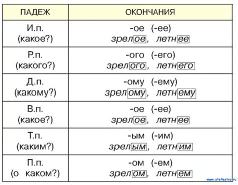 Склонение прилагательных в русском языке