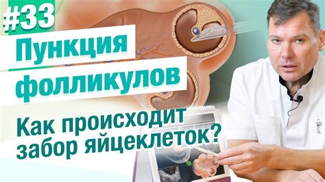 Сколько времени занимает процедура?