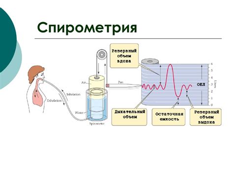 Сколько стоит спирометрия?